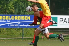 Schwerin44