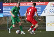 Siedenbollentin08
