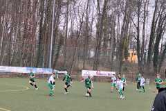 24_25_D1_PSV-II-MSV-II-BK-II_12