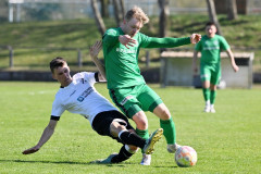 HafenRostock50