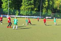 24_25_F1_DynamoSchwerin_05