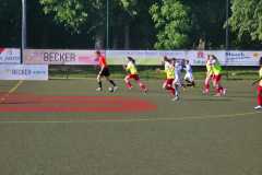 24_25_D2_FSVSchwerin_02