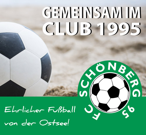 FC Schönberg 95 Pin Logo Anstecker Fussball Bundesliga #316 