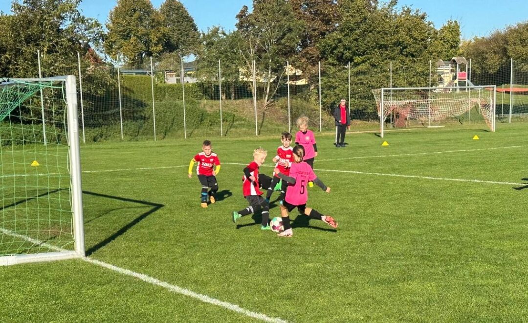 Morgenstund hat Tore im Mund, F-Juniorinnen siegen in Schlagsdorf