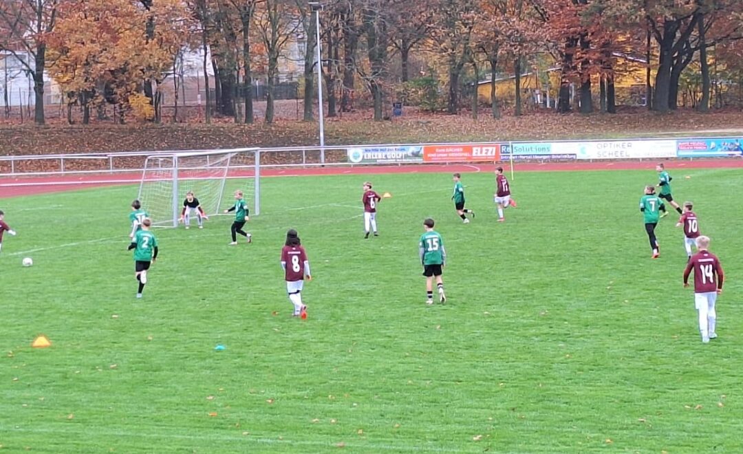 D1:Starkes Spiel trotz Niederlage